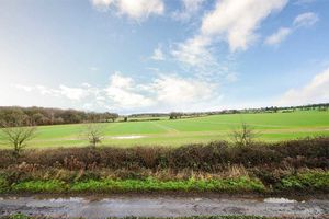 Photo 3- click for photo gallery